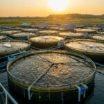 Top Fish Farming Trends in 2025