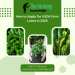 How to Apply for USDA Farm Loans in 2025